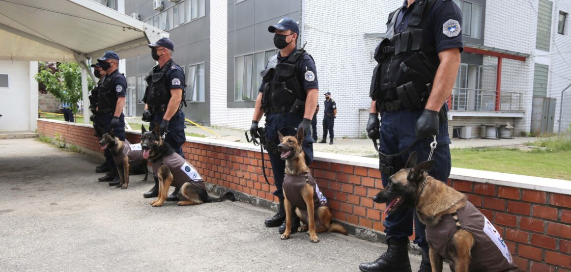 Policia blen tetë qen, i kushtojnë 45 mijë euro