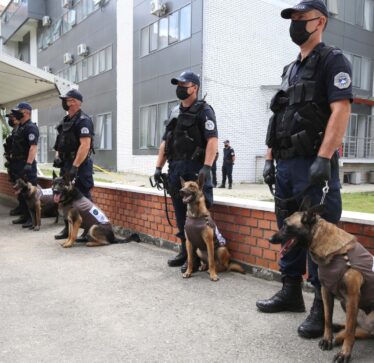 Policia blen tetë qen, i kushtojnë 45 mijë euro