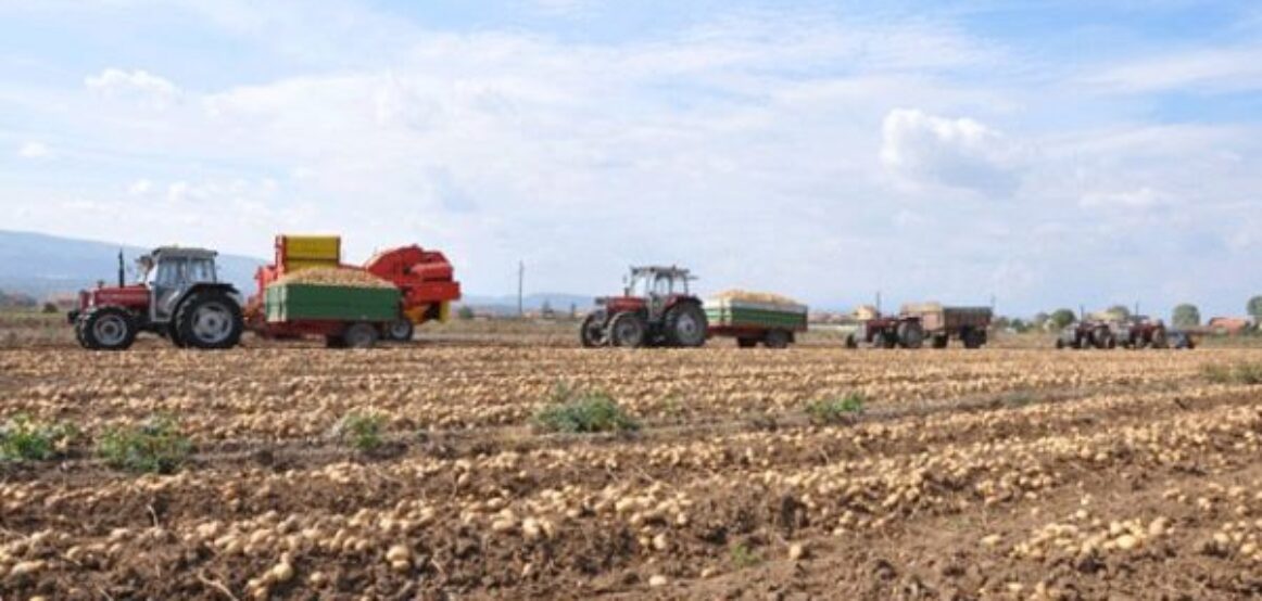 Zgjatet deri më 14 dhjetor afati për aplikim për grante në bujqësi
