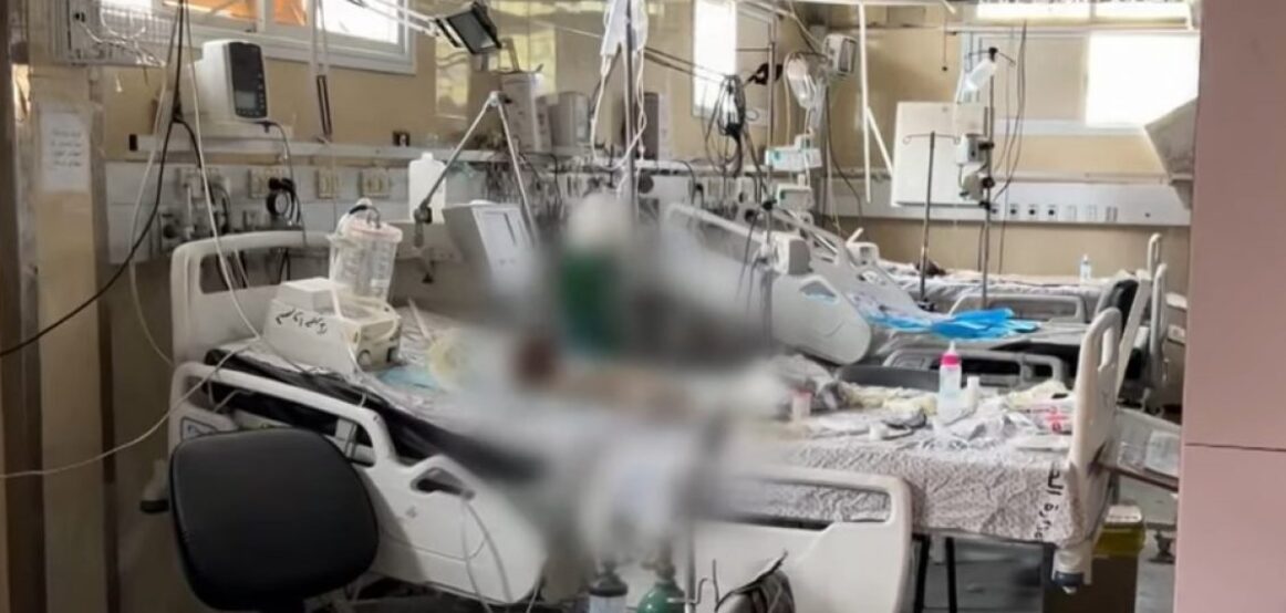 Pamje rrëqethëse: Trupat e foshnjave, duke u dekompozuar, gjenden në spitalin e Gazës – pasi ato duhej të braktiseshin mes sulmeve izraelite