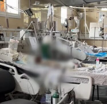 Pamje rrëqethëse: Trupat e foshnjave, duke u dekompozuar, gjenden në spitalin e Gazës – pasi ato duhej të braktiseshin mes sulmeve izraelite