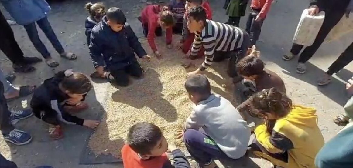 Palestinezët në veri të Gazës filluan të bluajnë ushqimin e kafshëve sepse nuk kanë miell