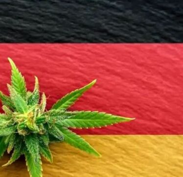 Gjermania legalizon përdorimin e kanabisit nga 1 prilli