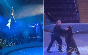 Incidente të tmerrshme në cirkun ukrainas, akrobatët rrëzohen nga lartësia,…