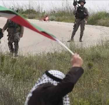 Kolonët izraelitë djegin 4 shtëpi palestineze në Bregun Perëndimor