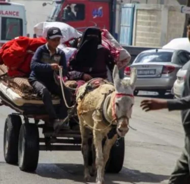 A do të ketë armëpushim me Izraelin? Deklarata e Hamasit ngjall shpresat për palestinezët