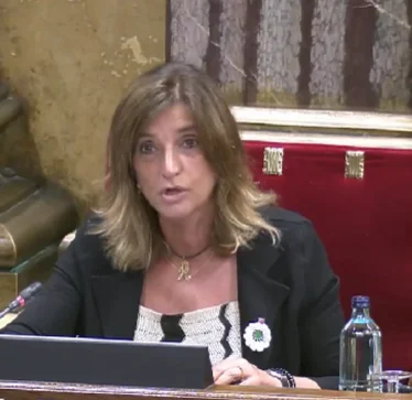Katalanasit në parlament miratuan një deklaratë me rastin e përvjetorit të gjenocidit dhe mbanin lulen e Srebrenicës