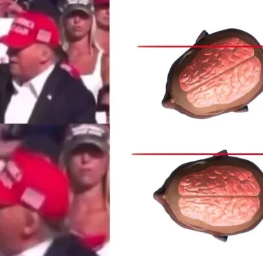 Një vizatim që tregon se sa me fat ishte në të vërtetë Trump: Lëvizja e tij i shpëtoi jetën