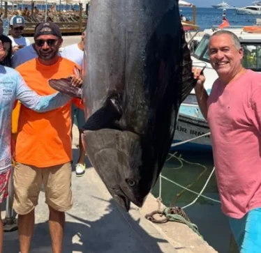 Në Turqi, peshkatarët amatorë kapën një tunë me peshë 376 kilogramë.