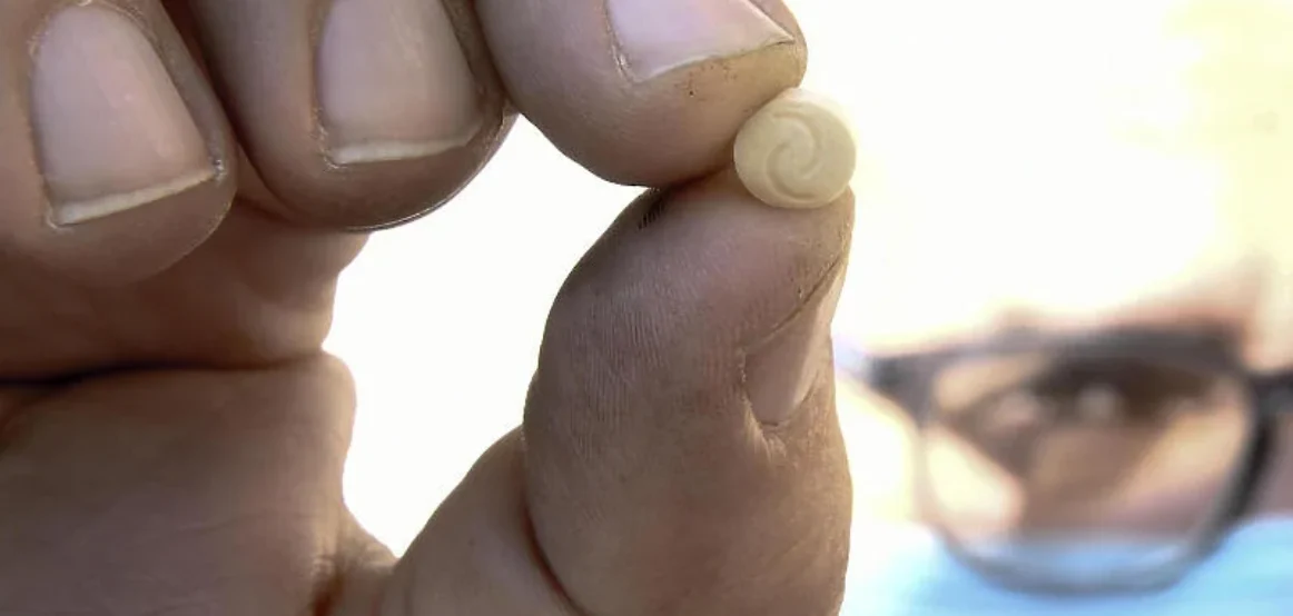 Droga Captagon po përhapet nga vendet arabe drejt Evropës: “Të gjitha shtetet duhet të shqetësohen”