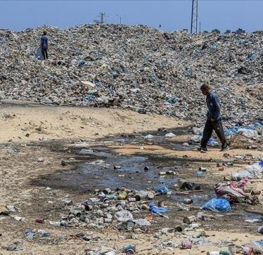 Izraeli për 1 vit ka masakruar jo vetëm palestinezët, por edhe mjedisin