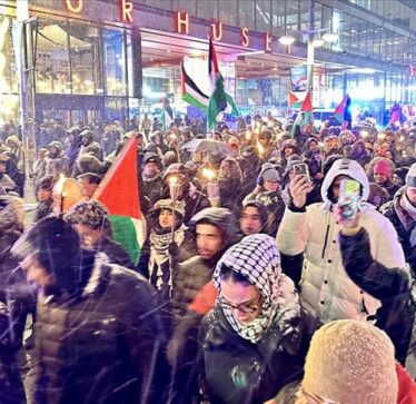 Suedi, qindra njerëz anuluan festimet e Vitit të Ri dhe mbajtën protestë në mbështetje të Palestinës