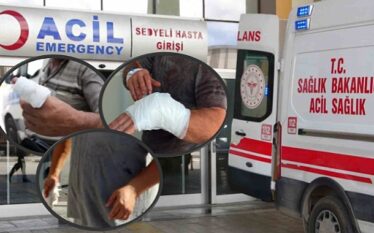 Në Turqi mbi 14.000 persona u lënduan gjatë therjes së…
