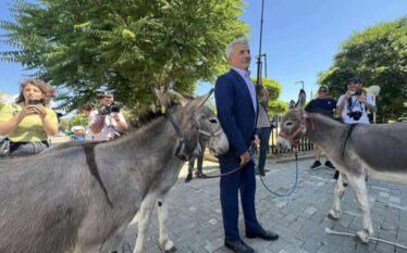 Avokati Koci me gomarë proteston para Kuvendit: Si këta që…