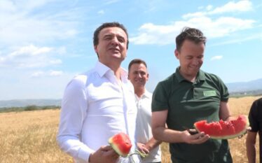 Kurti dhe Peci shijojnë bostanin midis arave të Suharekës