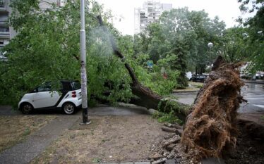 Stuhia e frikshme shkatërroi Zagrebun: Era shkulë pemët nga rrënjët,…