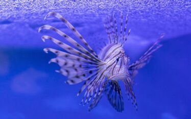 Ndryshime dramatike në Adriatik. “Deti më nuk do të jetë…