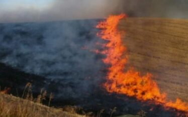 Situata me zjarret në Kosovë: 41 vatra të raportuara, 14…