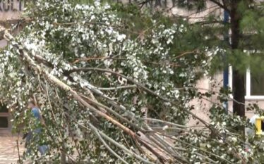 Stuhia e fuqishme, 20 persona në Tiranë kërkojnë ndihmë mjekësore