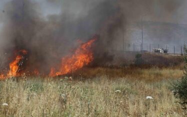 Okupuesit izraelitë djegin tokën bujqësore në një qytet me shumicë&hellip;