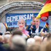 Rritja e AfD-së shkakton shqetësim edhe te e djathta ekstreme evropiane