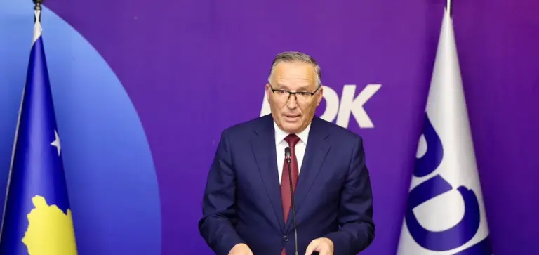 Bedri Hamza jep dorëheqje nga posti i kryetarit të PDK-së