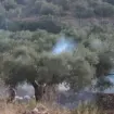 Pushtuesit izraelitë u vënë zjarrin ullinjve, ndërsa ushtria dëbon fermerët palestinezë në Bregun Perëndimor të pushtuar